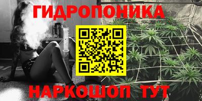 стаф Сертолово